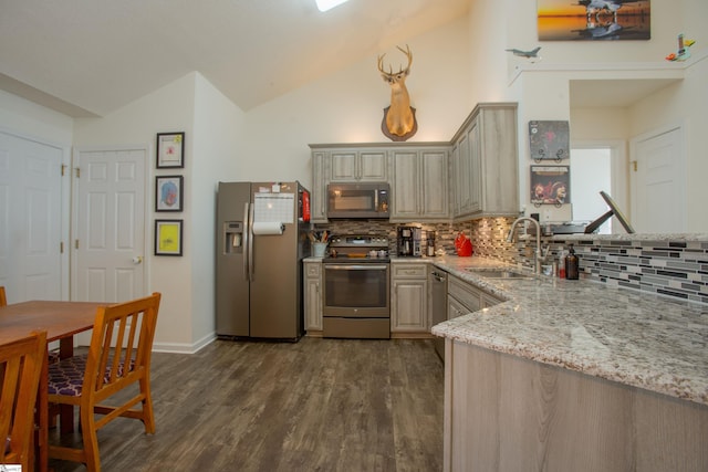 kitchen featuring light stone countertops, a sink, dark wood-type flooring, backsplash, and appliances with stainless steel finishes
