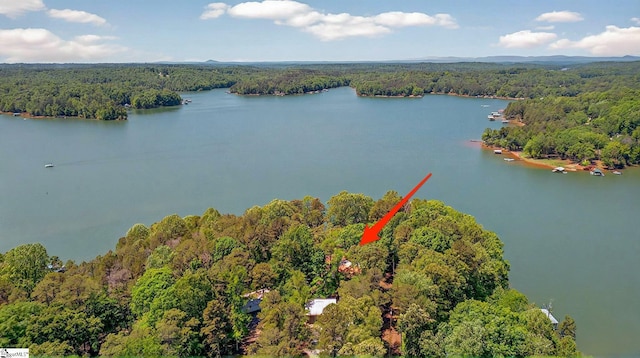 261 Joann Cir, Fair Play, SC 29643 - birds eye view of property with a wooded view and a water view