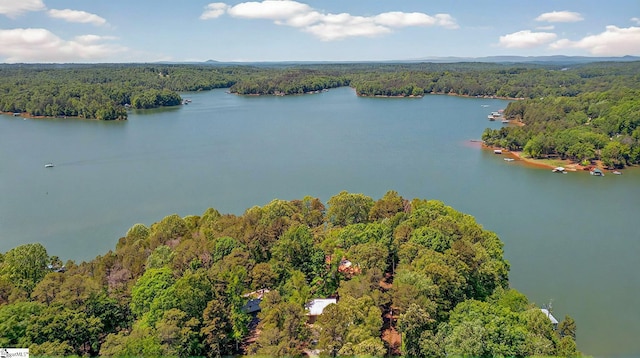 261 Joann Cir, Fair Play, SC 29643 - bird's eye view with a wooded view and a water view