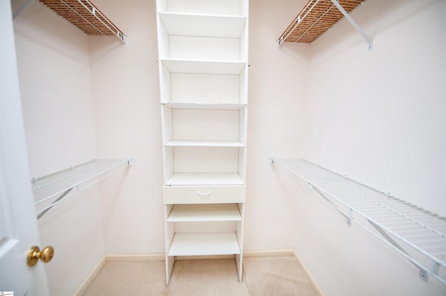 view of walk in closet
