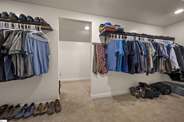 354 Jasmine Ln, Tryon, NC 28782 - spacious closet with carpet floors