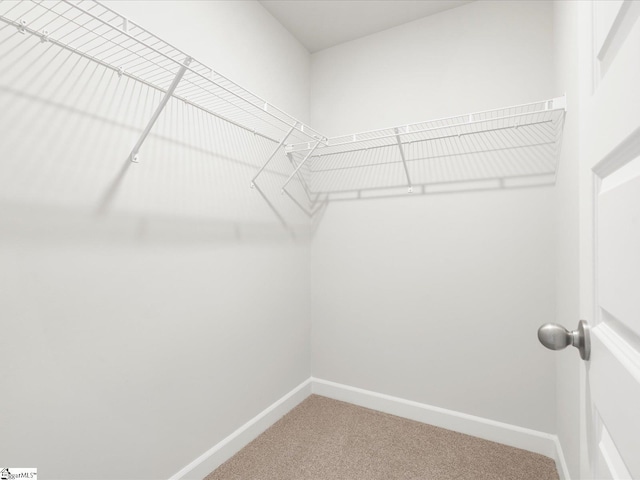 112 Arrow Ct, Greer, SC 29651 - walk in closet with carpet