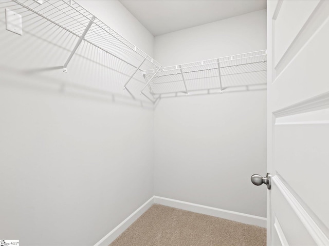 122 Arrow Ct, Greer, SC 29651 - walk in closet featuring carpet flooring