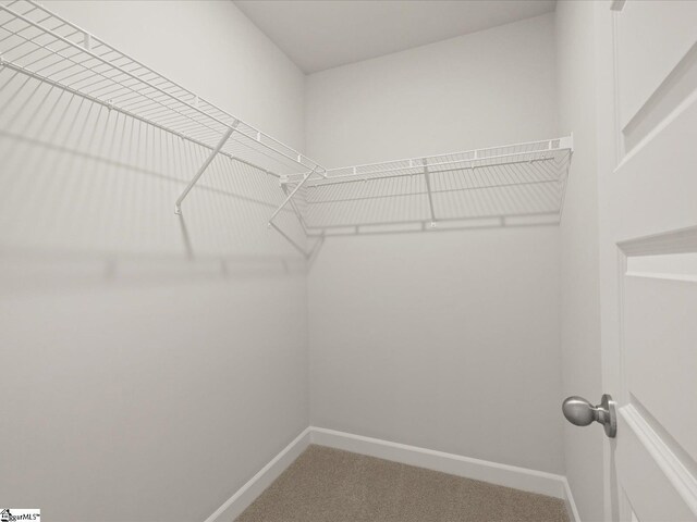 124 Arrow Ct, Greer, SC 29651 - spacious closet featuring carpet flooring