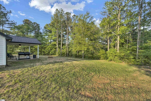 555 Canewood Ln, Campobello, SC 29322 - view of yard