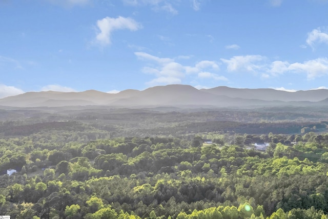 555 Canewood Ln, Campobello, SC 29322 - mountain view featuring a forest view