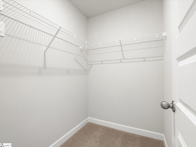 126 Arrow Ct, Greer, SC 29651 - spacious closet featuring carpet flooring