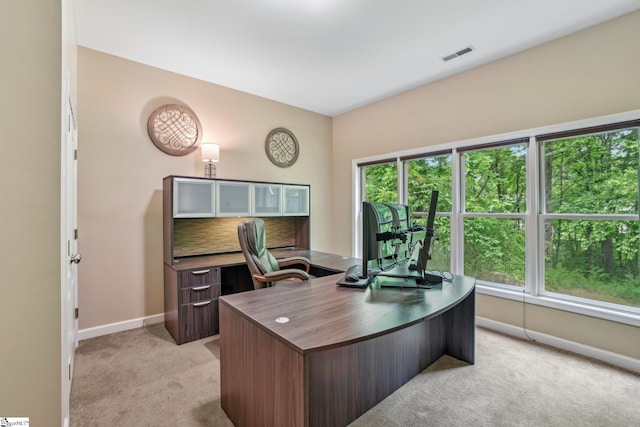 114 Walnut Creek Way, Greenville, SC 29611 - home office with baseboards, light carpet, and visible vents