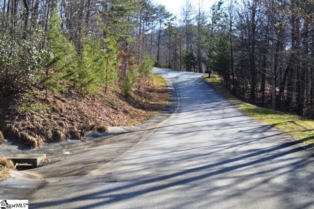 Purple Finch Way, Marietta, SC 29661