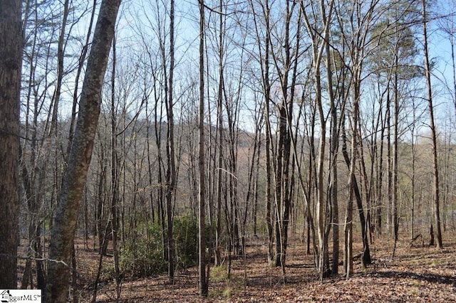 Purple Finch Way, Marietta, SC 29661