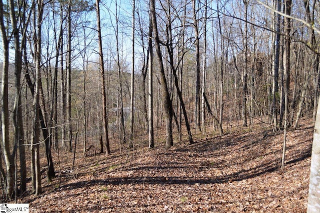 Purple Finch Way, Marietta, SC 29661