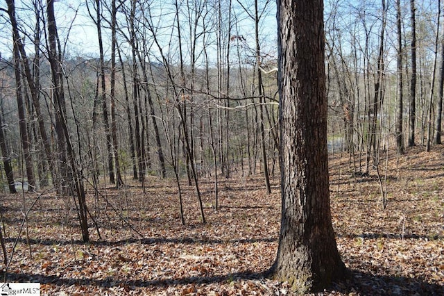 Purple Finch Way, Marietta, SC 29661