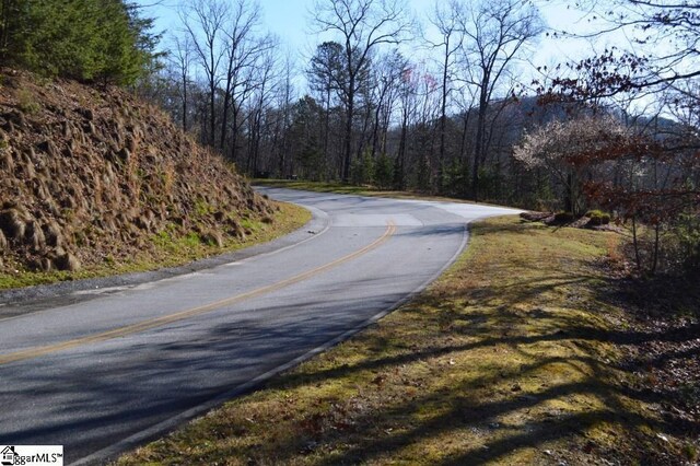 Purple Finch Way, Marietta, SC 29661