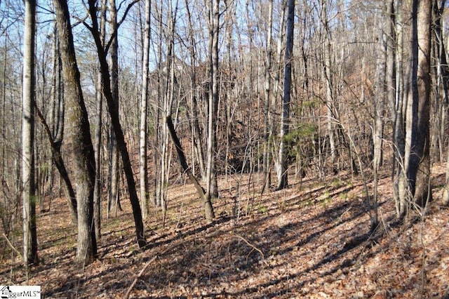 Purple Finch Way, Marietta, SC 29661