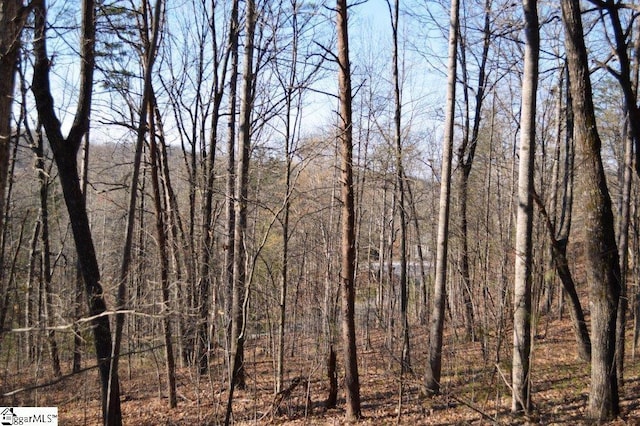 Purple Finch Way, Marietta, SC 29661