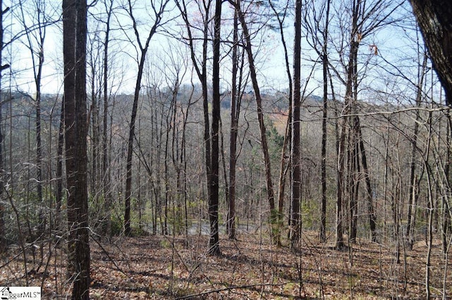 Purple Finch Way, Marietta, SC 29661