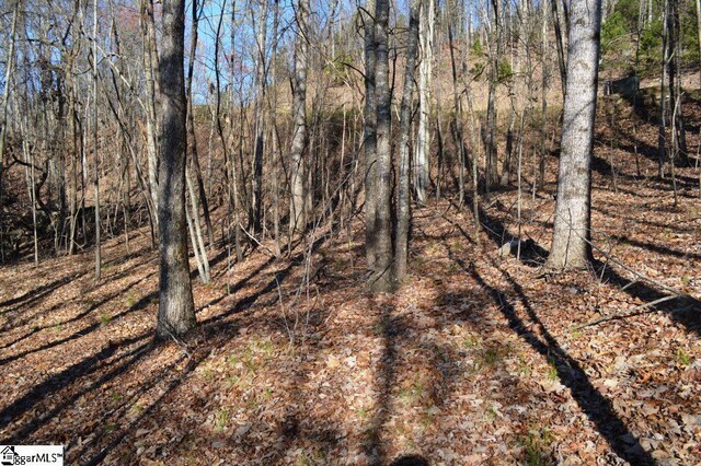 Purple Finch Way, Marietta, SC 29661