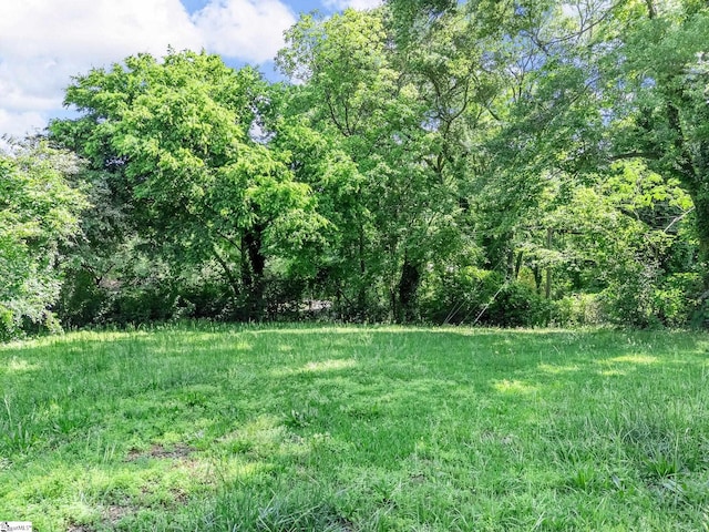 797 Jackson St, Spartanburg, SC 29303 - view of yard