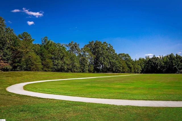 view of community featuring a lawn