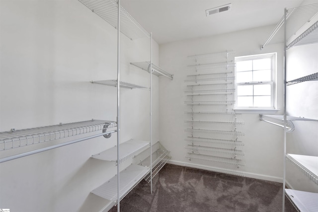 spacious closet featuring carpet and visible vents