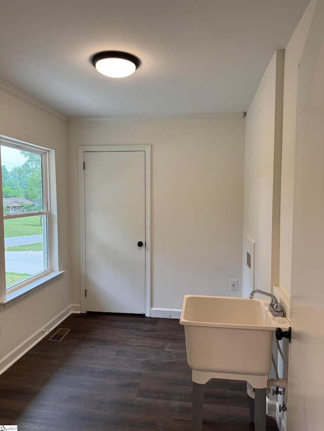 interior space featuring crown molding, baseboards, a freestanding tub, and wood finished floors