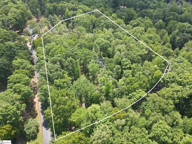 aerial view with a forest view