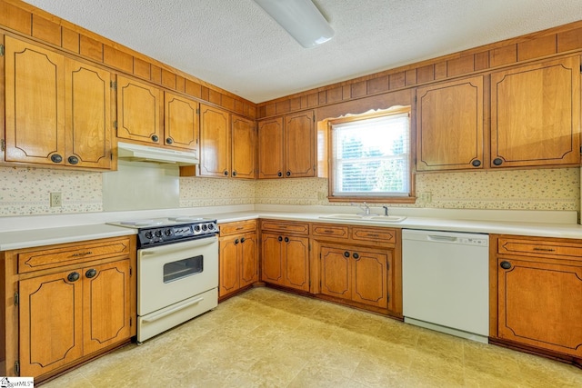 kitchen featuring under cabinet range hood, brown cabinets, a sink, and white appliances