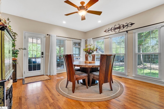 6 Shallow Creek Ct, Fountain Inn, SC 29644 - dining room featuring ceiling fan, visible vents, light wood-style flooring, and a healthy amount of sunlight