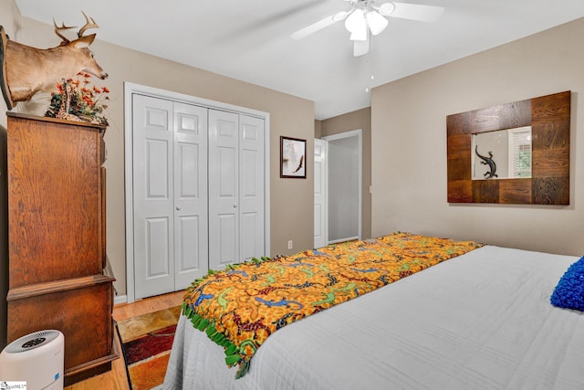 6 Shallow Creek Ct, Fountain Inn, SC 29644 - bedroom with ceiling fan, a closet, and wood finished floors