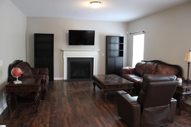 living area featuring baseboards, a fireplace, and wood finished floors