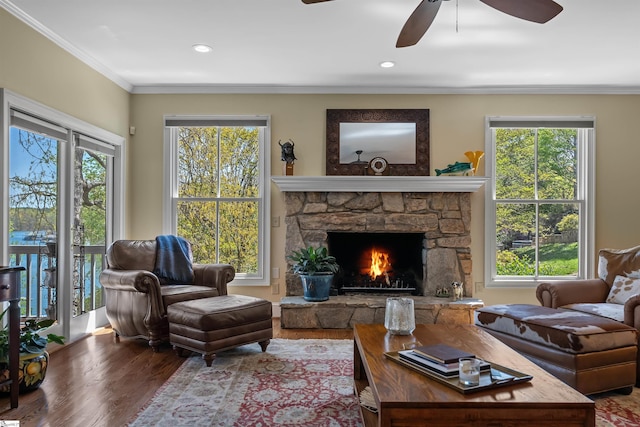 living area featuring wood finished floors, ceiling fan, healthy amount of natural light, ornamental molding, and a stone fireplace