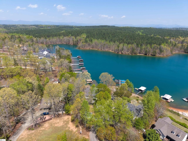 drone / aerial view of a forest and a nearby body of water