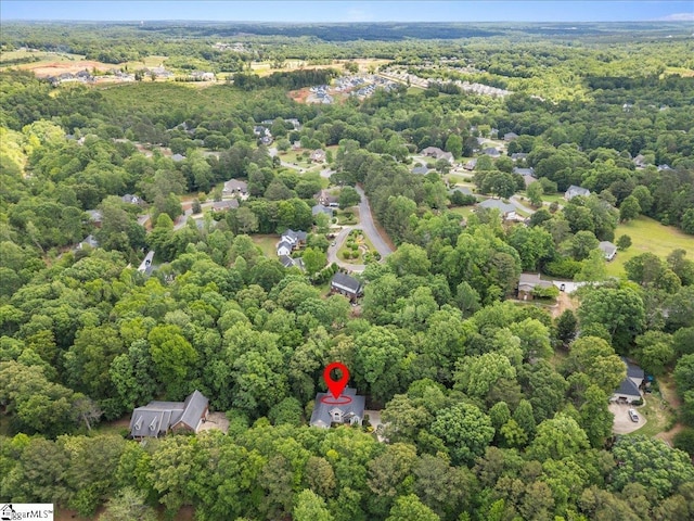 bird's eye view of a forest