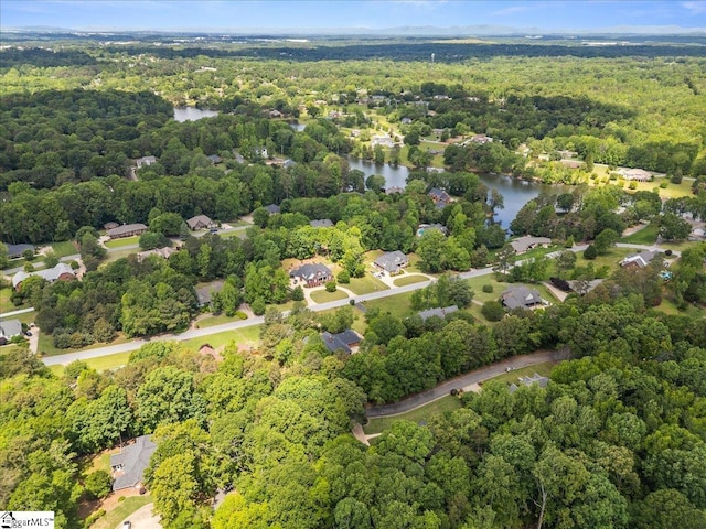 bird's eye view of a forest and a nearby body of water
