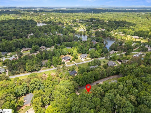 bird's eye view of a forest and a large body of water
