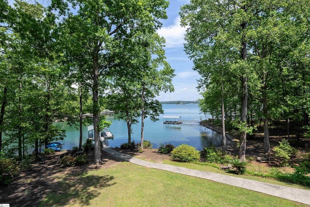 295 Sugarhill Rd, Seneca, SC 29672 - water view