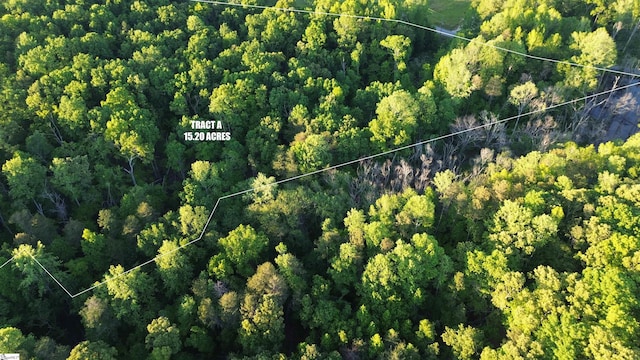 492 Flat Rock Rd Tract A, Unit Tract A, Liberty, SC 29657