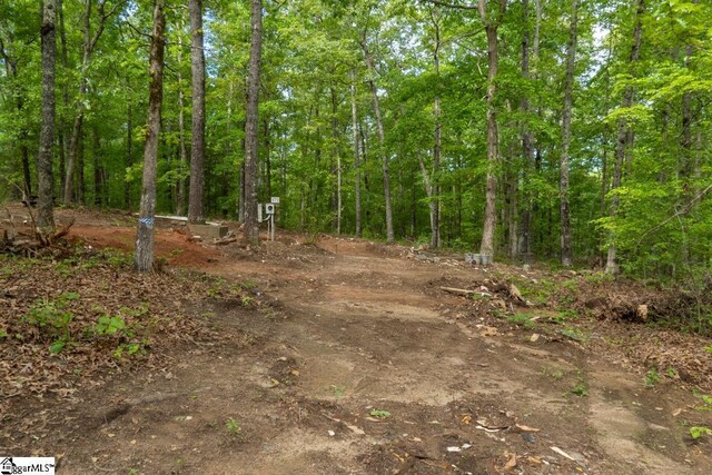 492 Flat Rock Rd Tract A, Unit Tract A, Liberty, SC 29657