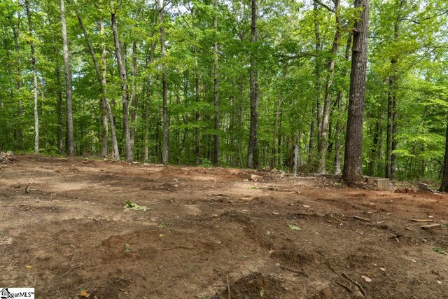 492 Flat Rock Rd Tract A, Unit Tract A, Liberty, SC 29657