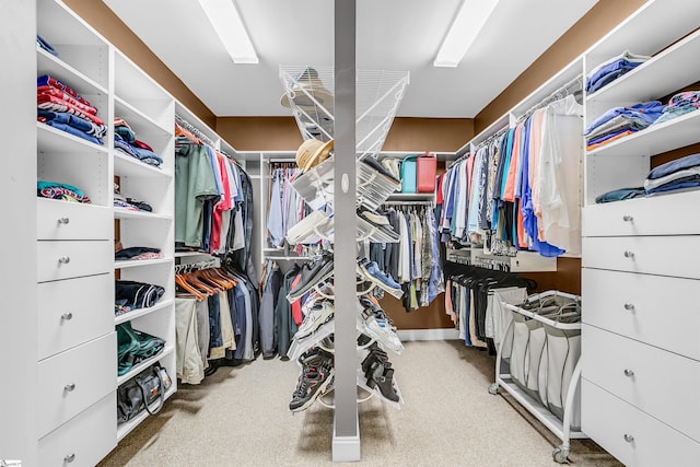 111 Tinsley Ct, Greenville, SC 29615 - view of walk in closet