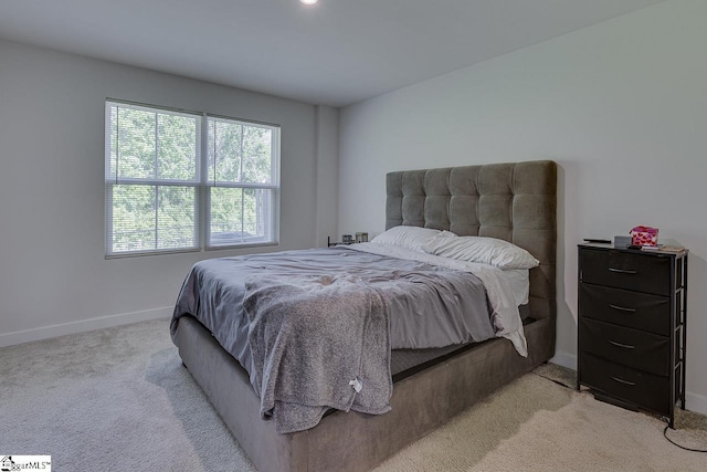 321 Aldworth Ln, Fountain Inn, SC 29644 - bedroom featuring light colored carpet and baseboards