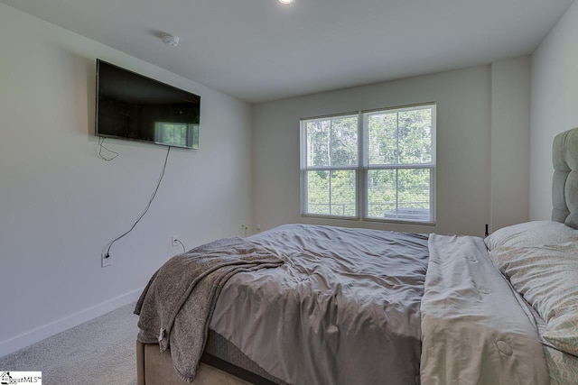 321 Aldworth Ln, Fountain Inn, SC 29644 - carpeted bedroom with baseboards