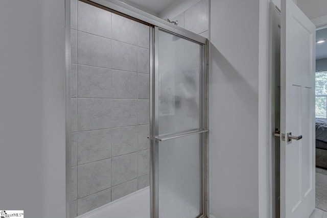 321 Aldworth Ln, Fountain Inn, SC 29644 - bathroom with a shower stall