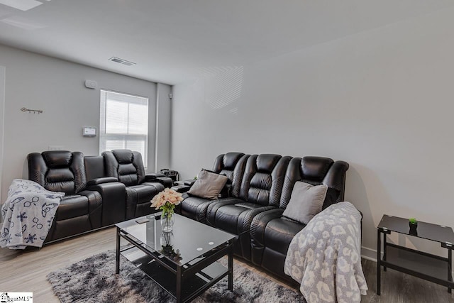 321 Aldworth Ln, Fountain Inn, SC 29644 - living room featuring light wood-style flooring