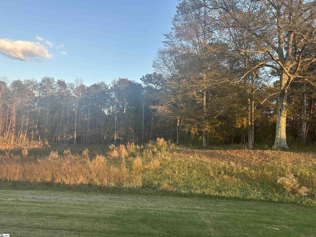 view of yard featuring a forest view