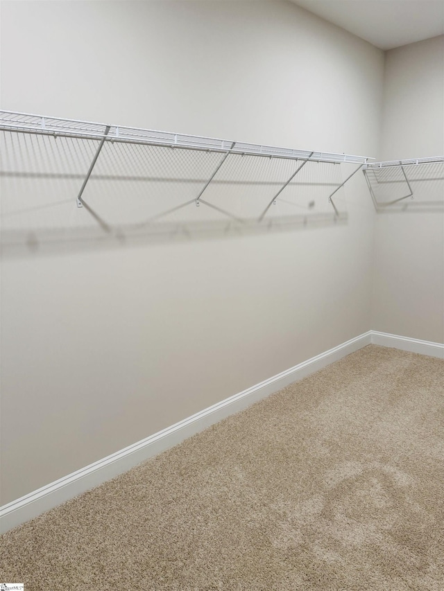 spacious closet with carpet flooring
