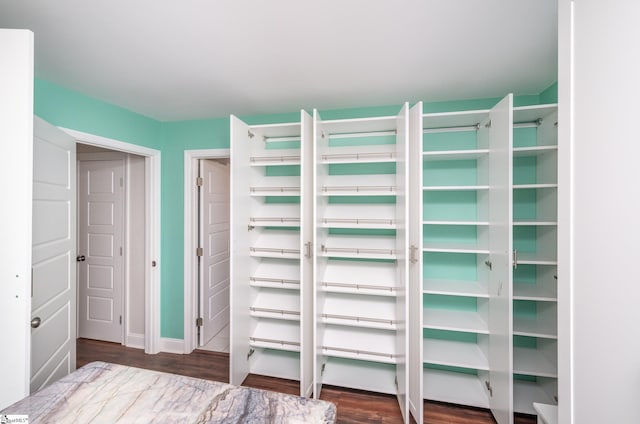 4 Pebble Creek Ct, Taylors, SC 29687 - view of closet