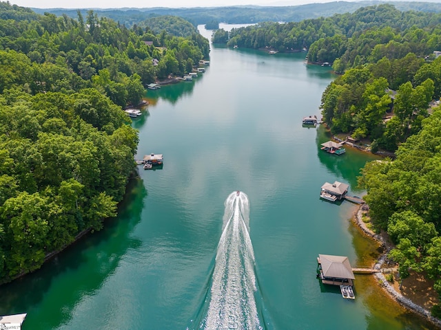 451 Cedar Creek Rd, Sunset, SC 29685 - drone / aerial view of a large body of water and a forest