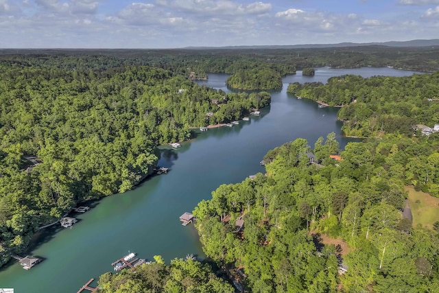 451 Cedar Creek Rd, Sunset, SC 29685 - view of property location with a heavily wooded area and a nearby body of water
