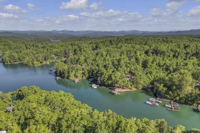 451 Cedar Creek Rd, Sunset, SC 29685 - view of property location featuring a heavily wooded area and a water and mountain view